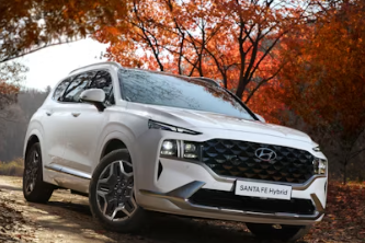 2025년 현대차 배당금 지급일 기준일 입금일 조회