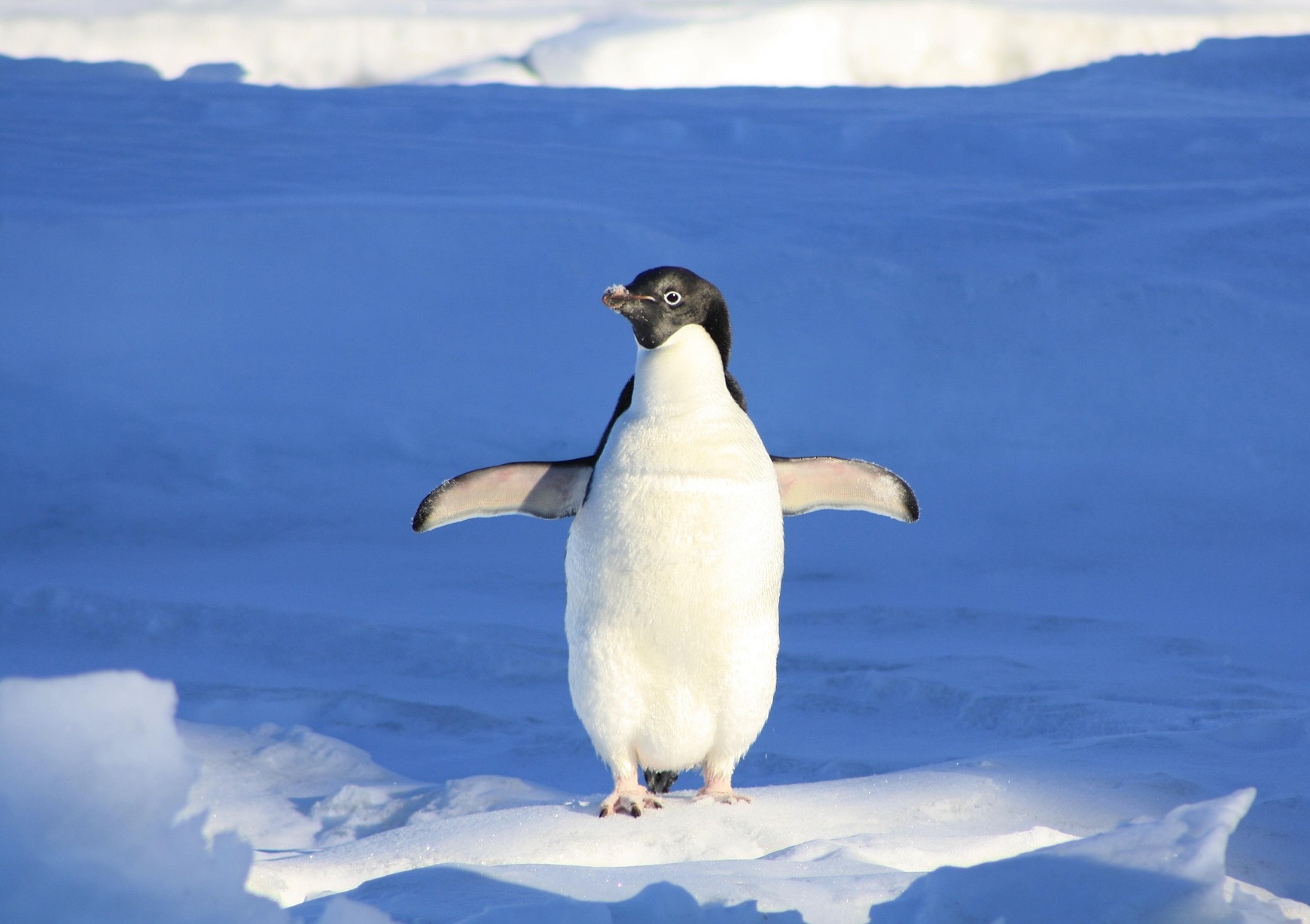 기후 재난이 일상이 된 이유 지금 이 순간에도 진행 중인 5가지 경고 신호