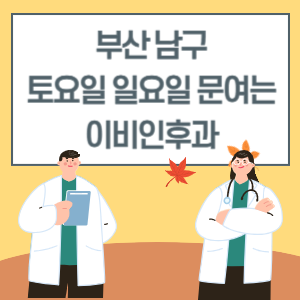 부산 남구 토요일 일요일 이비인후과 진료 병원 리스트