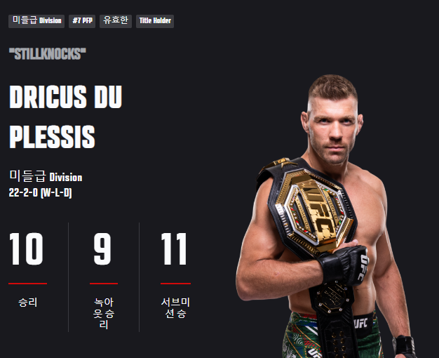UFC 312