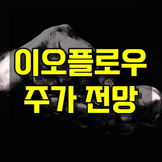 이오플로우 주가 전망