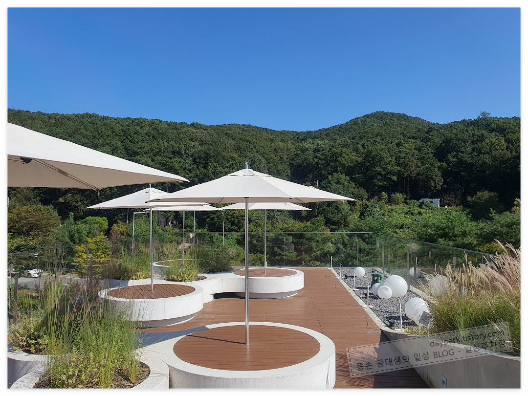 르디투어 광교점 : 옥상 뷰