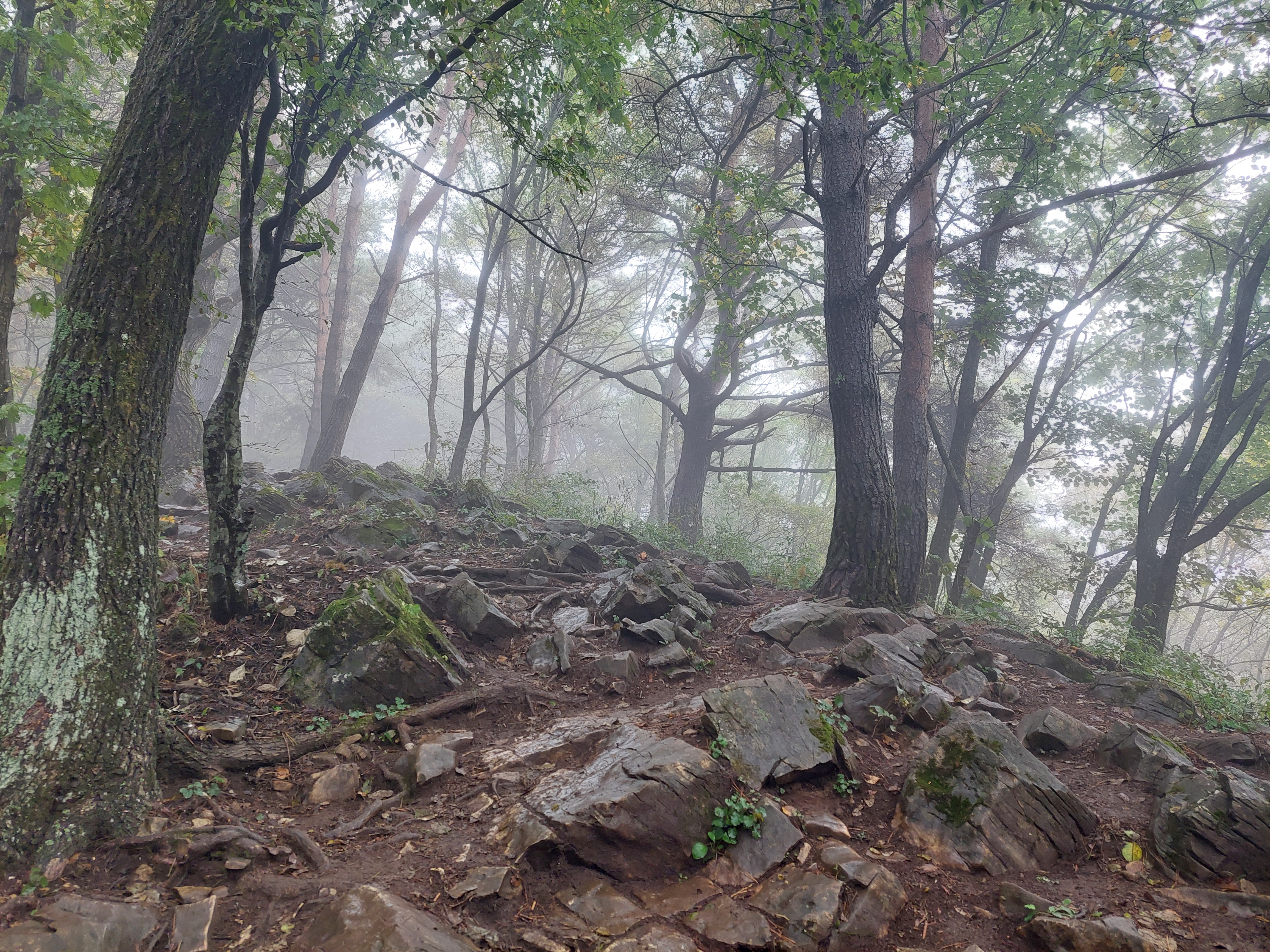 민둥산