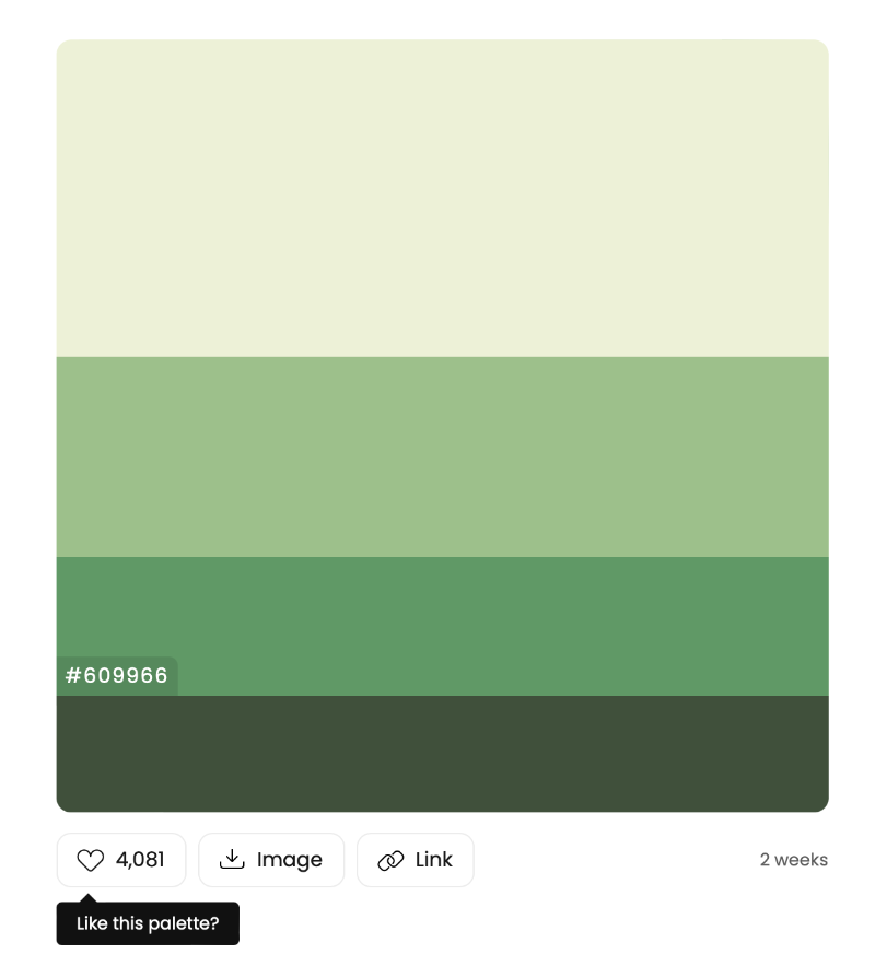 Color Hunt에서 한 조합을 선택한 화면