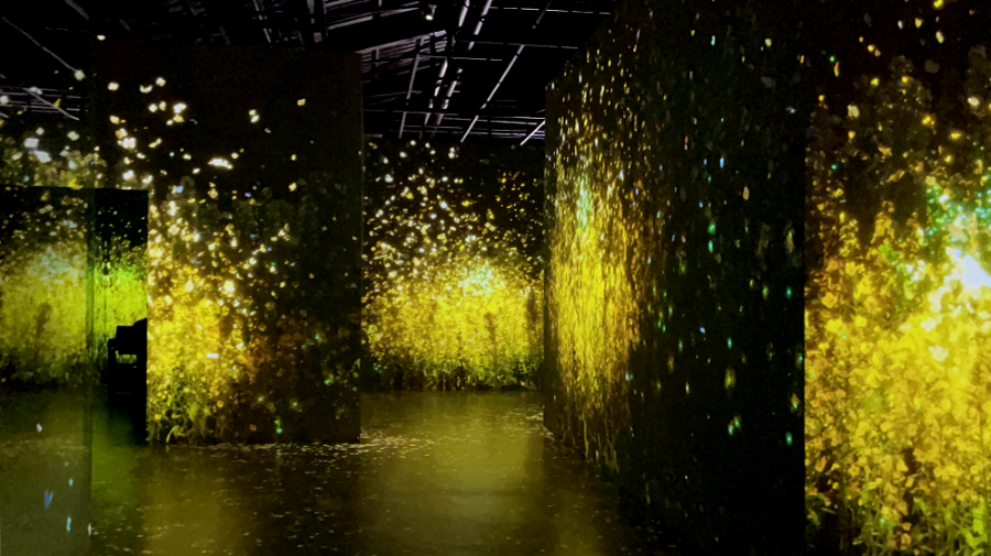 아르떼 뮤지엄 제주