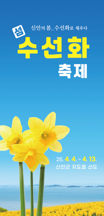 신안 선도 수선화축제 일정 주차 프로그램 총정리