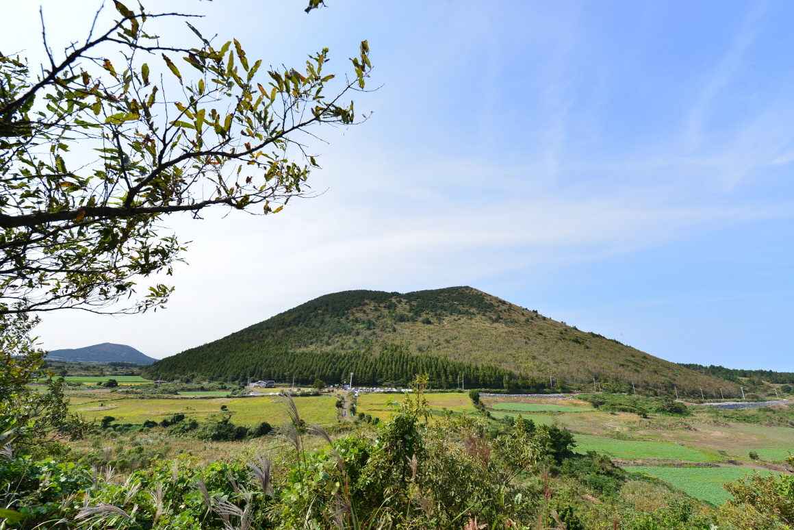 제주 오름 대표오름 8선 지도 난이도 등산코스