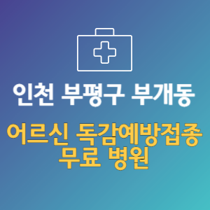 인천 부평구 부개동 노인 독감예방접종 무료 병원 (인플루엔자 무료 접종 대상 날짜)