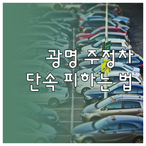 광명시 주정차 단속 전 문자 알림 신..