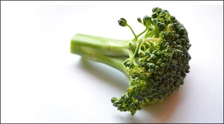 브로콜리 한송이