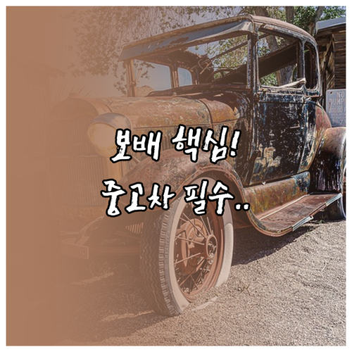 보배드림 바로가기 중고차 거래 커뮤니..