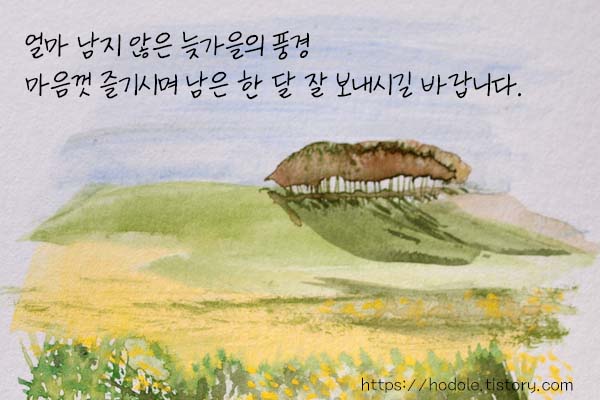 가을수채