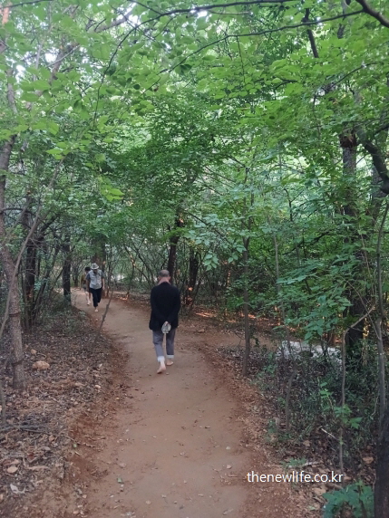서울 어린이대공원 울창한 나무 아래, 흙길을 맨발로 걷는 사람의 뒷모습, 자연 지형 그대로 유지된 서울 맨발 걷기 좋은 곳
