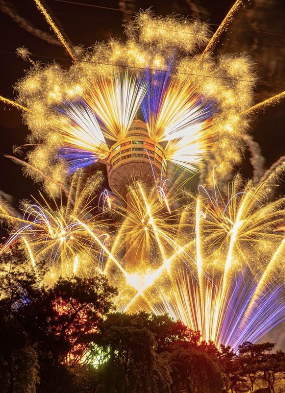 이월드 일루미네이션 불꽃 축제
