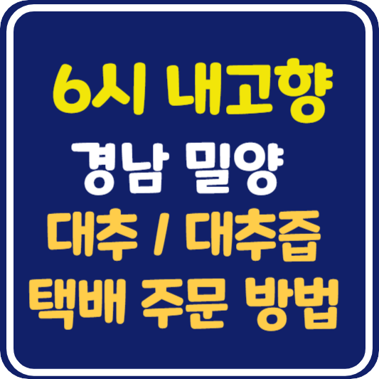 6시 내고향 밀양 대추 대추즙 택배 주문 방법