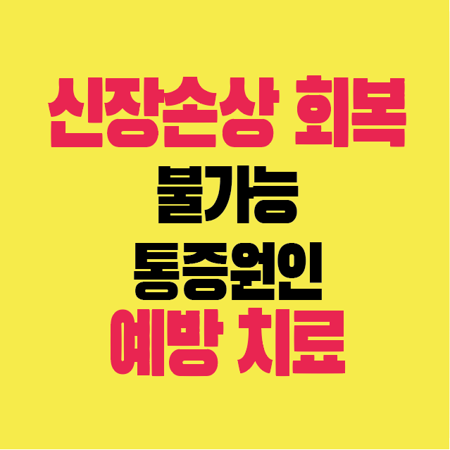 썸네일-신장-손상-회복-불가능-통증-간염-원인-치료-예방-방법