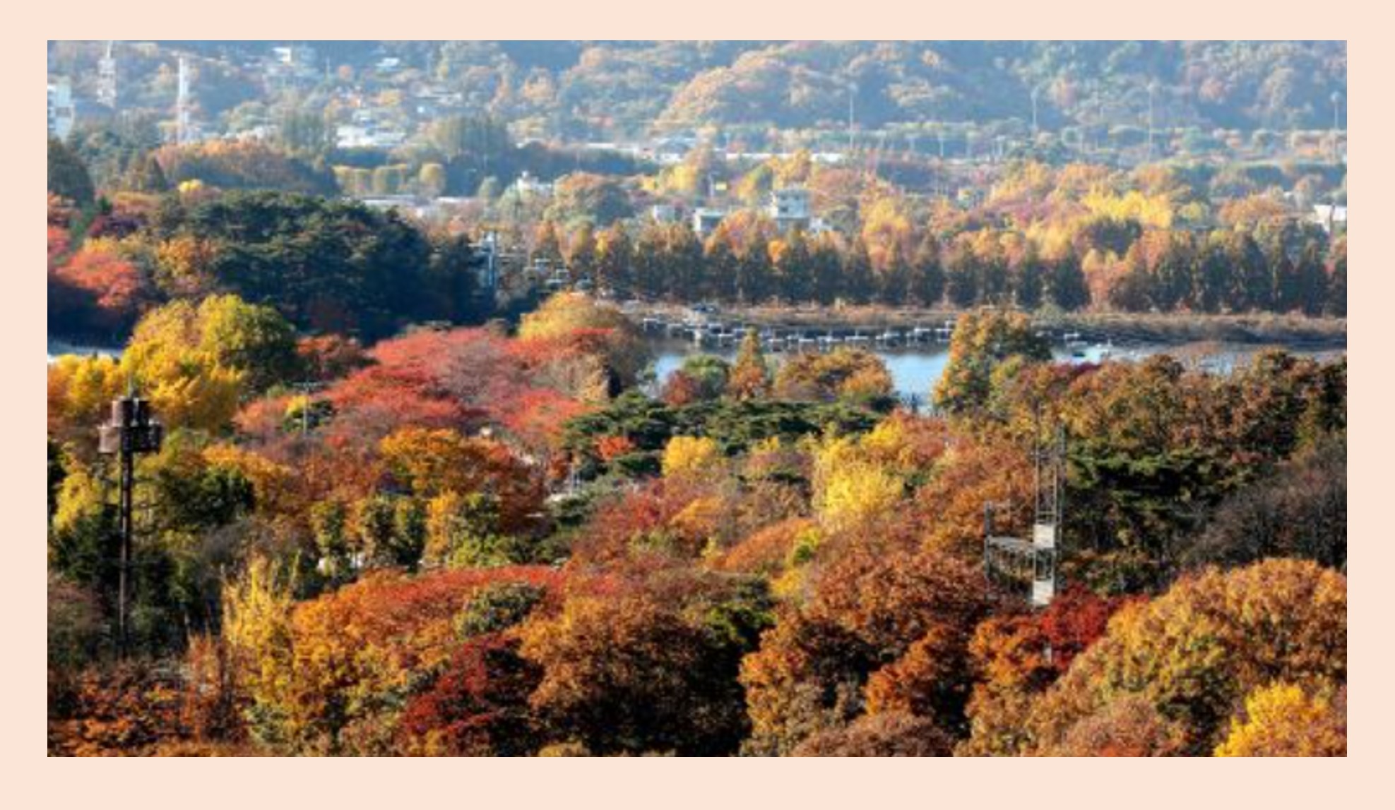 2024 서울근교 단풍명소-서울대공원