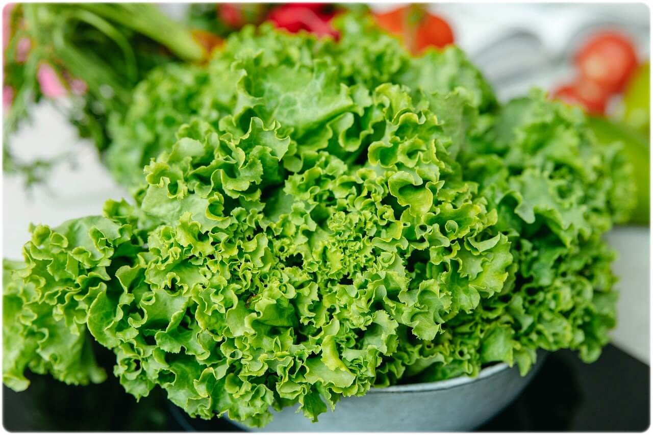 살 안찌는 음식