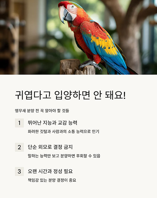 앵무새 분양, 입양 전 꼭 알아야 할 핵심 가이드