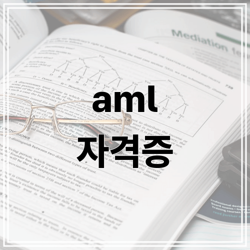 AML 자격증