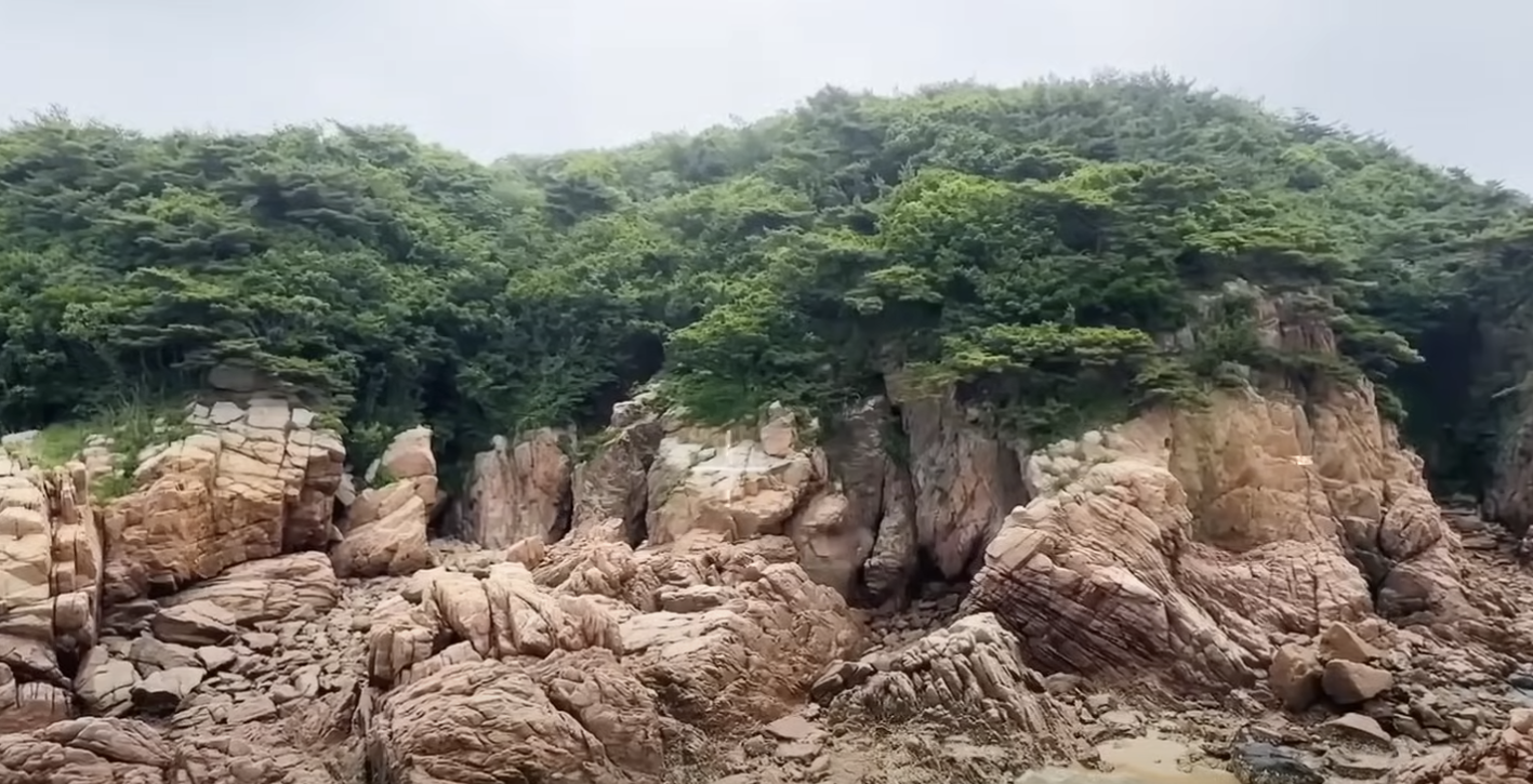 울창한 숲길이 이어지는 무의도 등산로 풍경