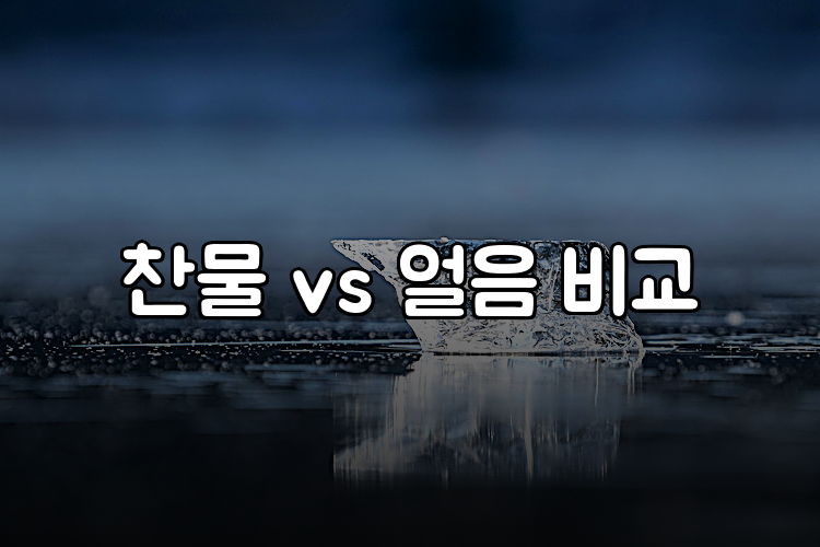 찬물 vs 얼음 비교