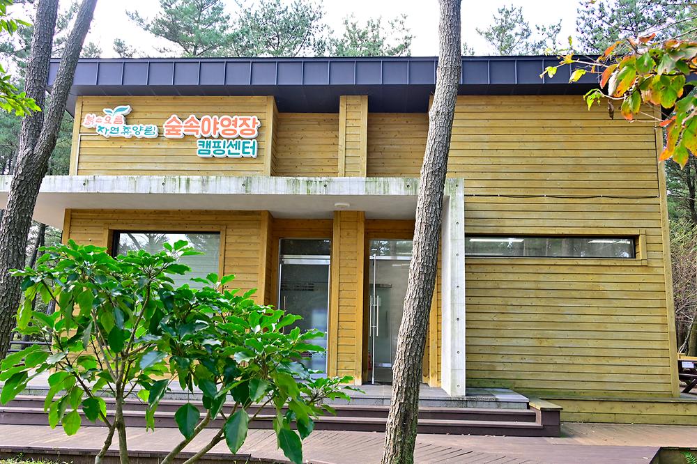 제주 붉은오름 자연휴양림 숲속야영장