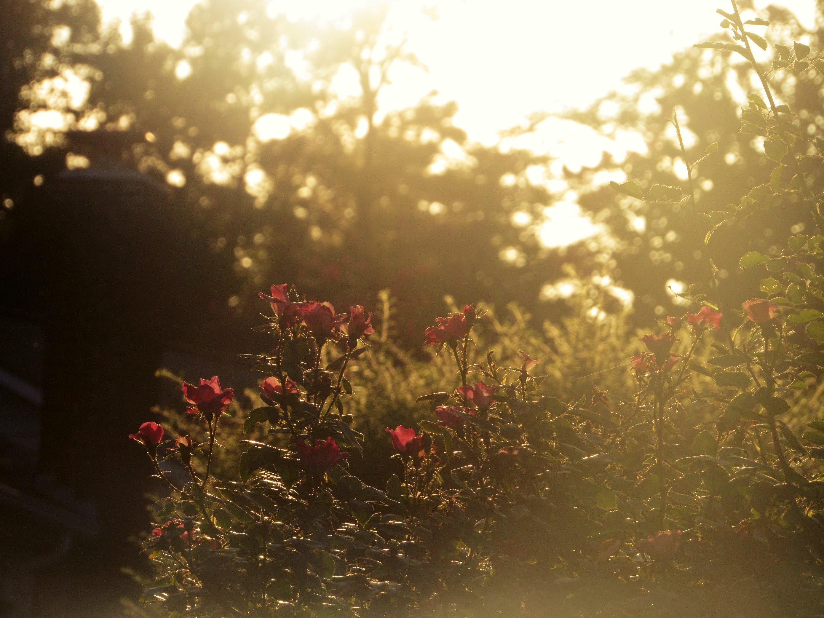 멕시코시티의 매력에 흠뻑 빠져보세요
