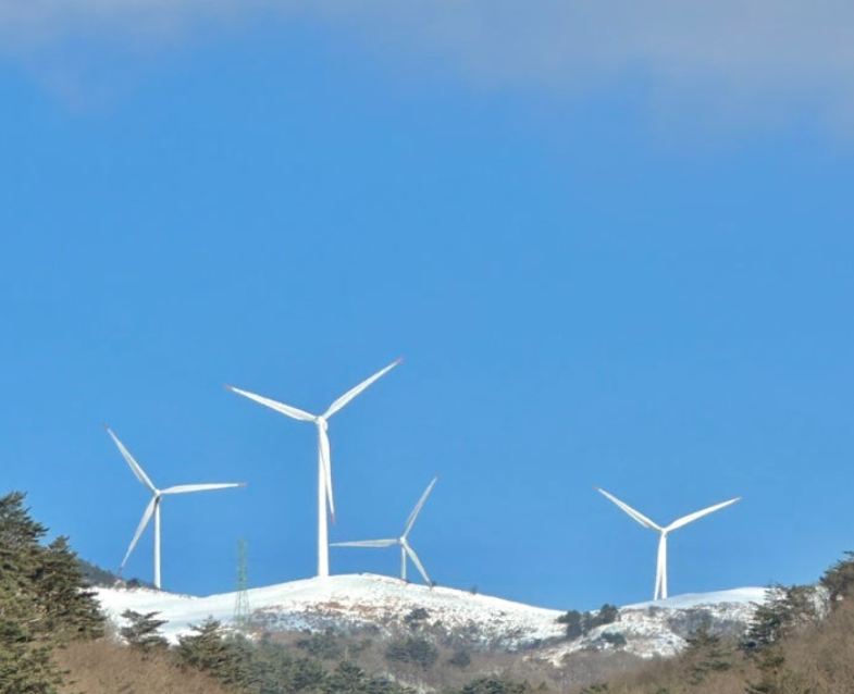 네이버 여행: 쉽고 똑똑하게 여행