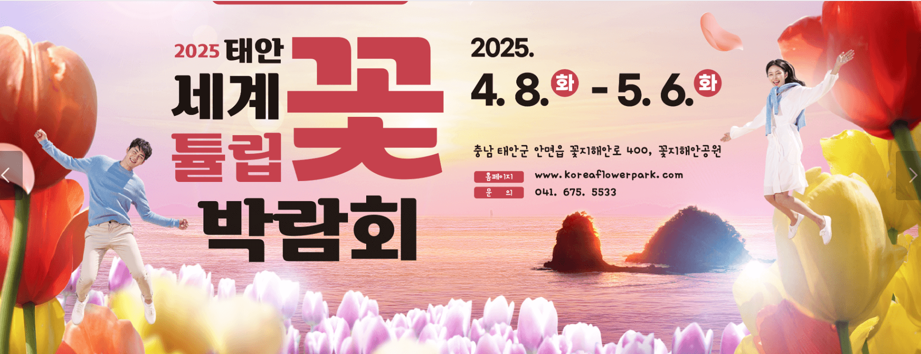 태안 세계튤립박람회 소식 관련사진