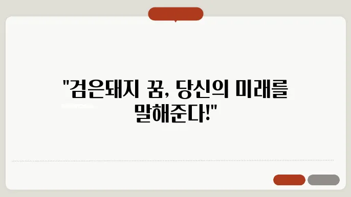 검은새끼 돼지 꿈해몽