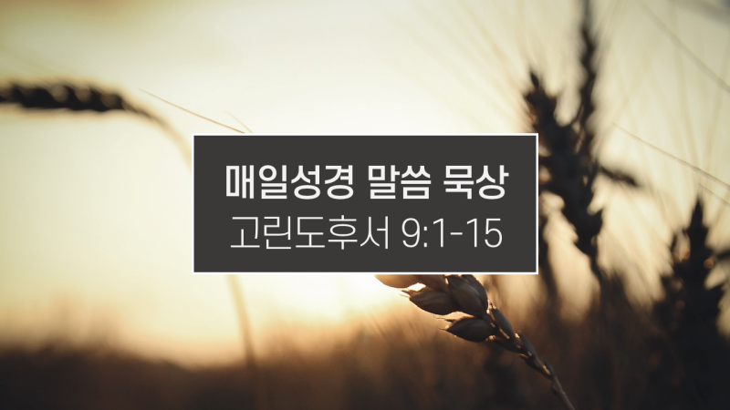 썸네일-햇볕-아래의-곡식