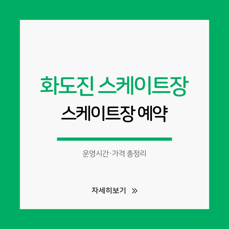 인천 화도진 스케이트장 전경 이미지