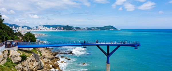 부산 여행지 추천