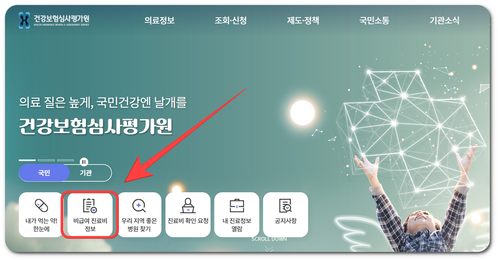 프롤로주사 가격 알아보는 법