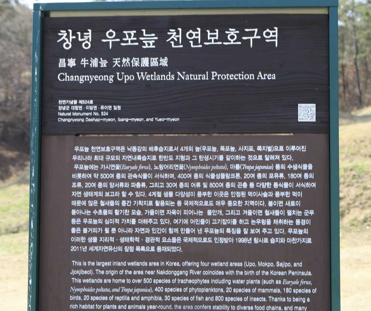 경남 창녕 우포늪 전경 천연보호구역 안내