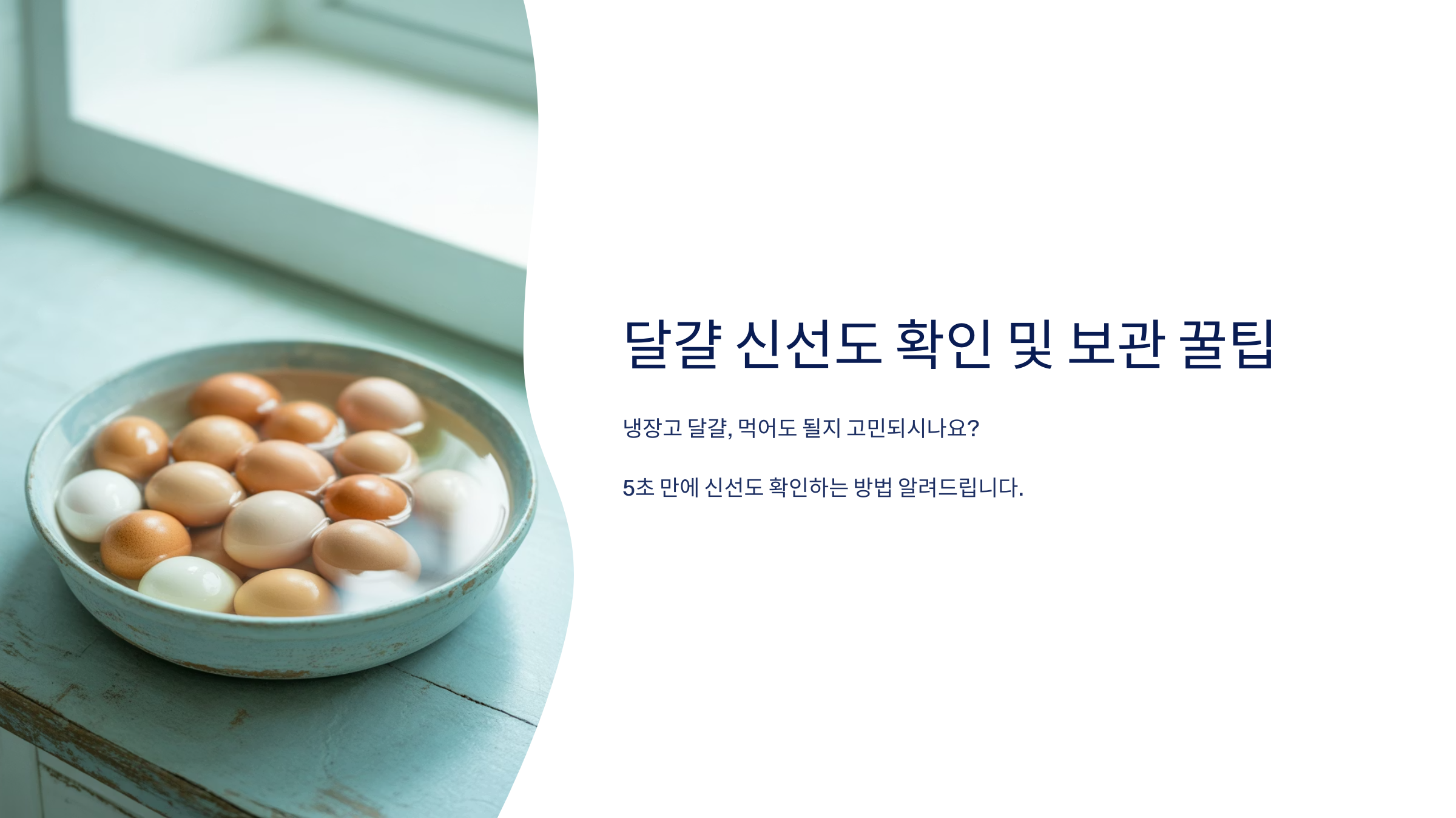 달걀 신선도