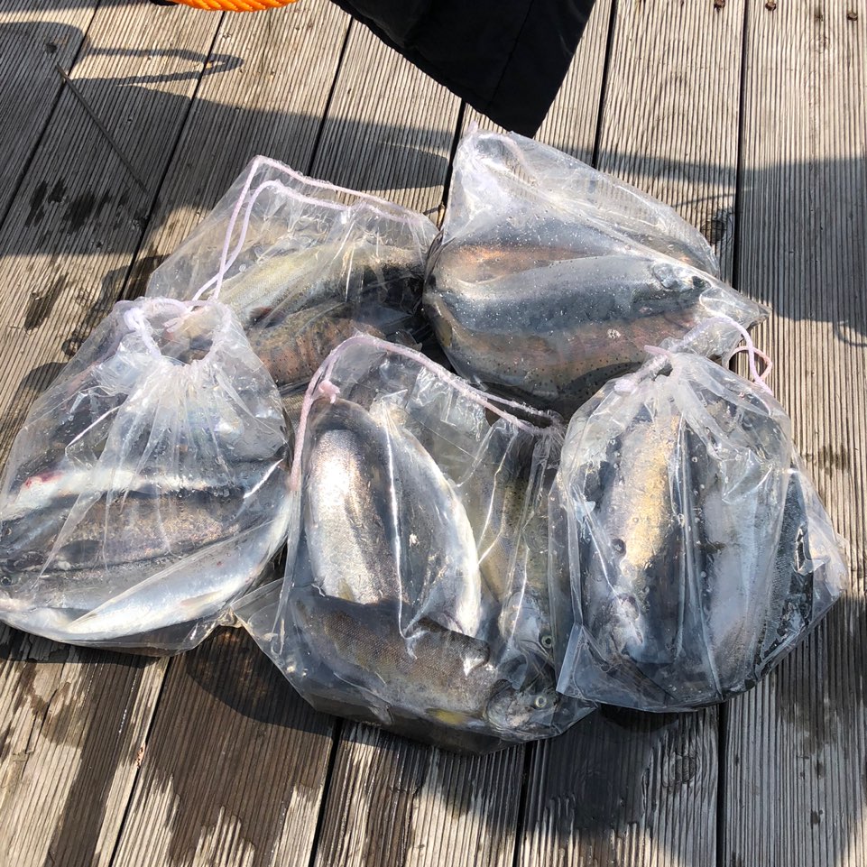 산천어 낚시 후기 [출처: 모든것들의 리뷰]