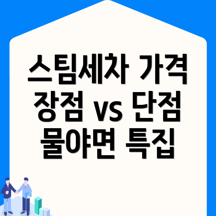 스팀세차