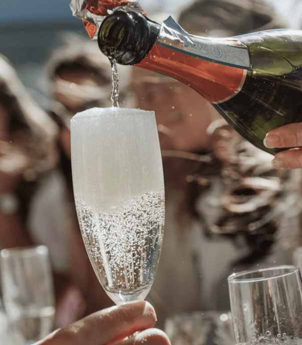 와인 종류별 건강 효과 비교: 레드 vs 화이트 vs 스파클링