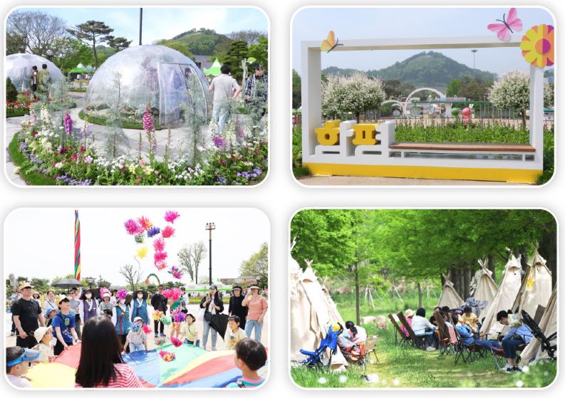 함평 나비축제 프로그램