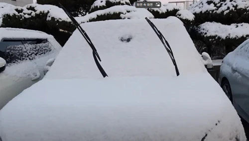 와이퍼-세우는-이유