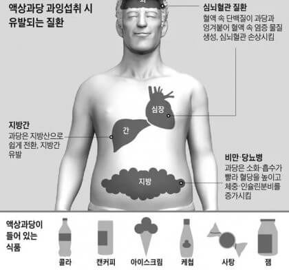 과당과 비만, 암