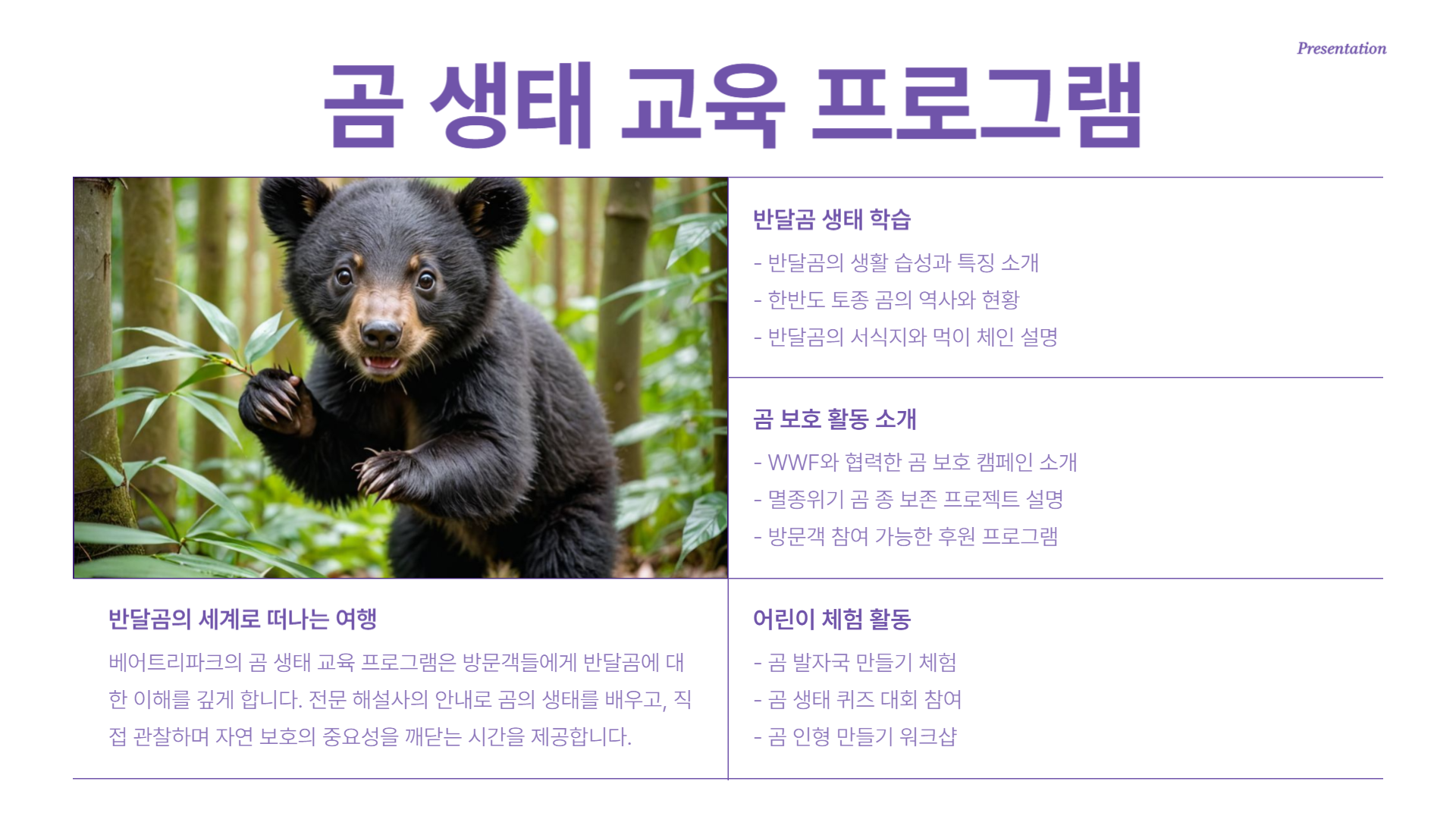 세종 베어트리파크 수목원 장미축제