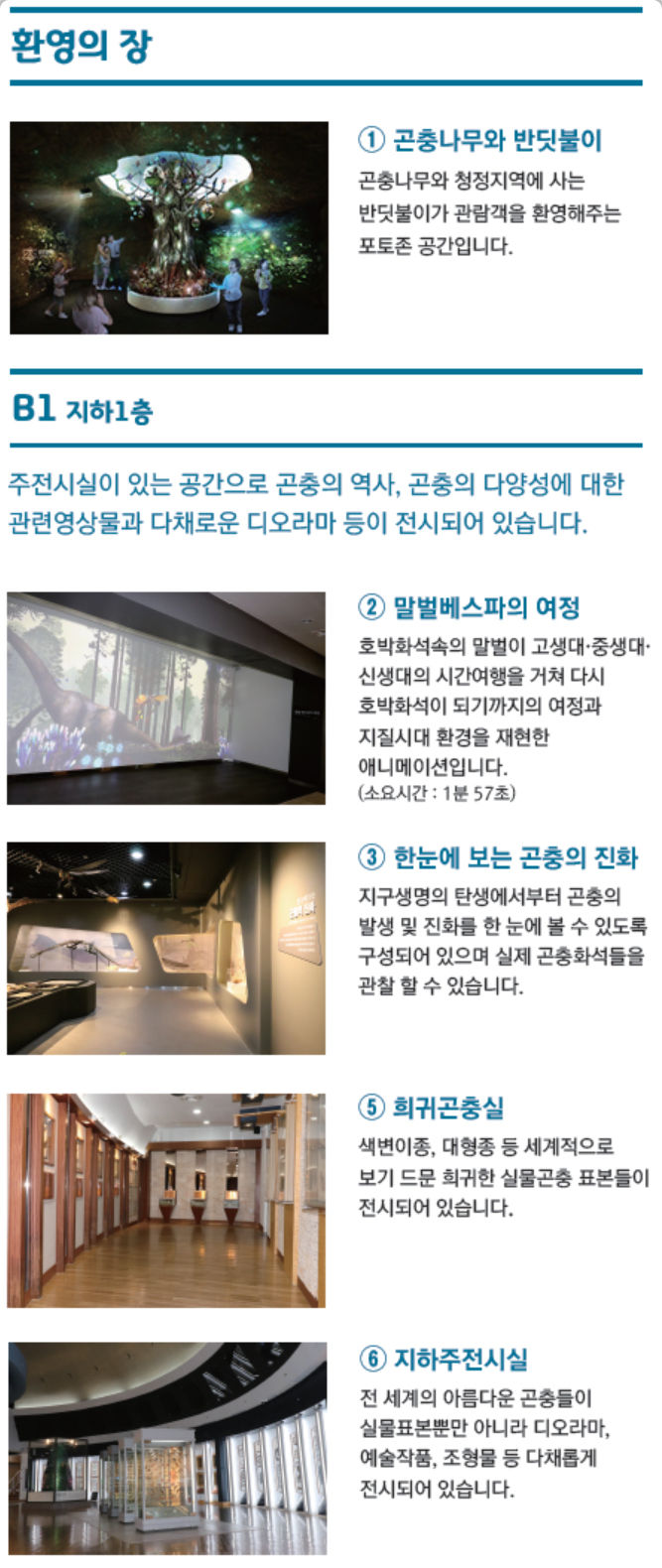 무주 반디랜드