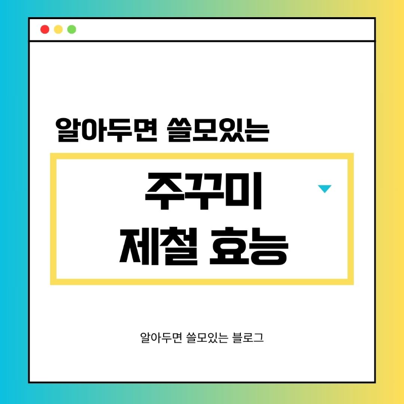 주꾸미 제철 언제일까 주꾸미 효능 손질방법 요리법 총정리