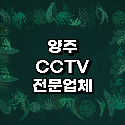 양주시 cctv