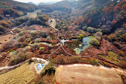단풍 명소