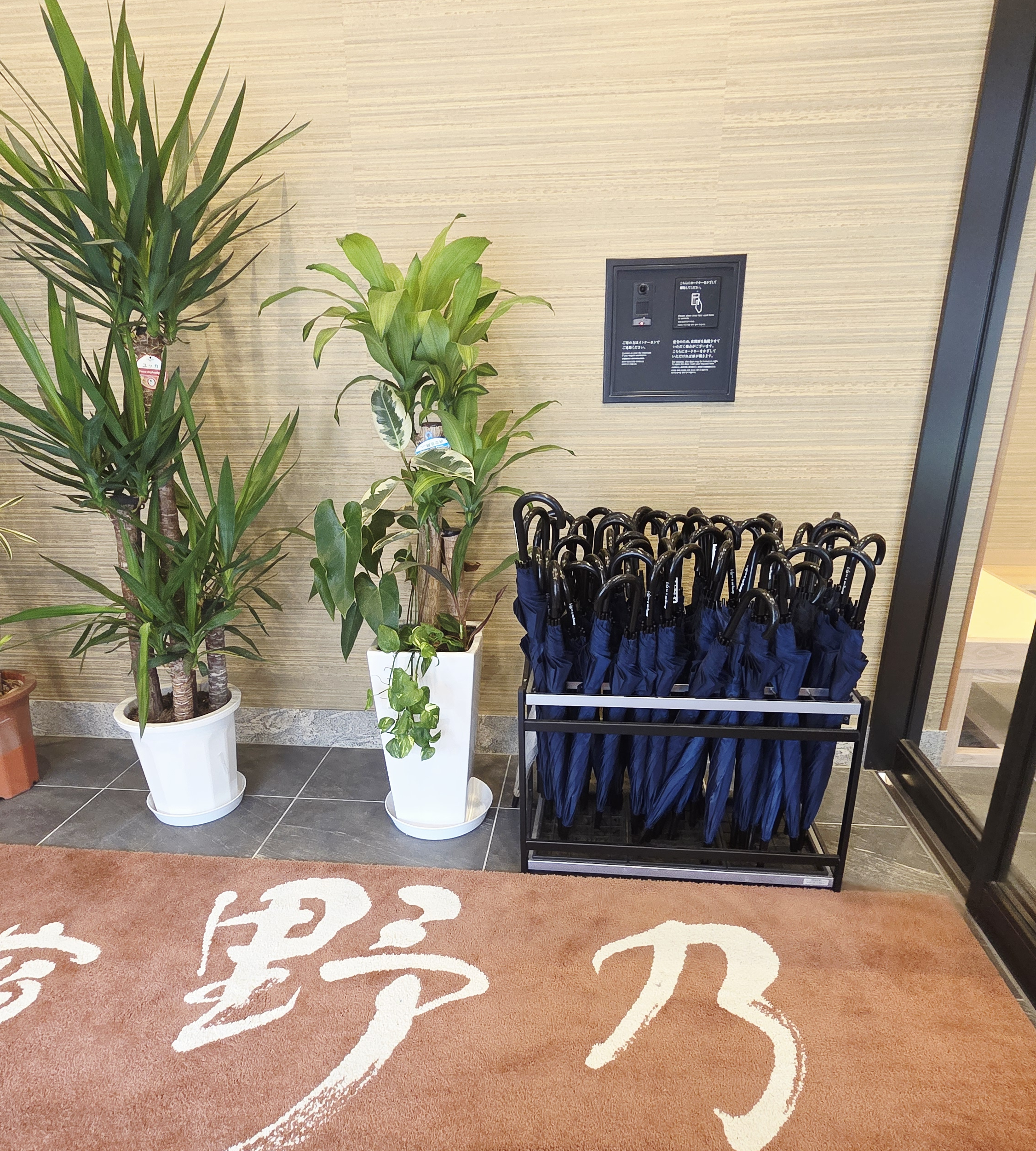 온야도 노노 우산 서비스