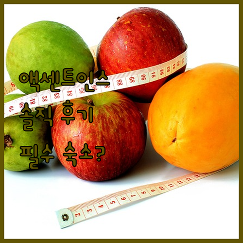 액센트 인스 버나비, 솔직 후기! P..